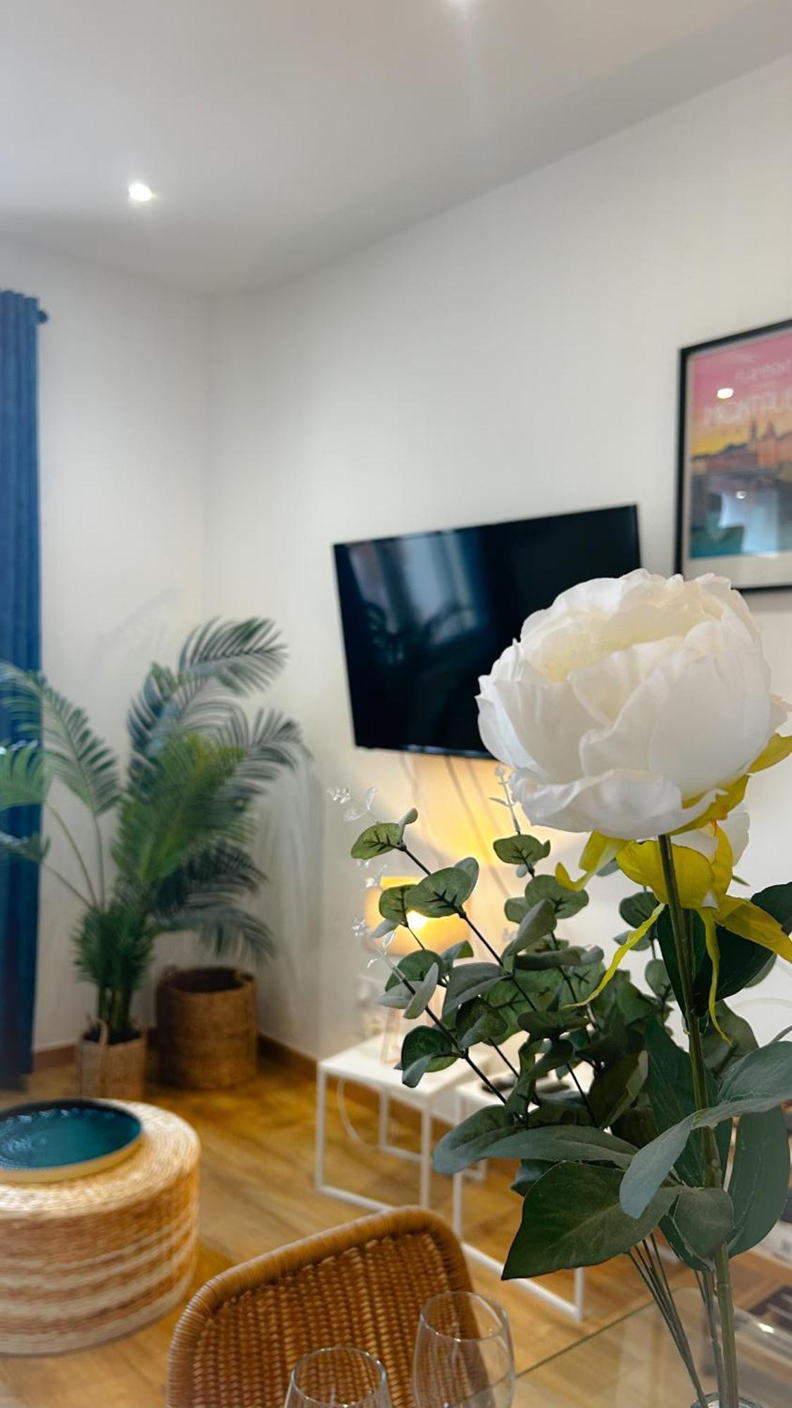 Voyage Au Canal - Parking Clim Netflix Amazon *